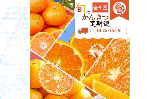 【全4回】紀州和歌山産旬のご家庭用柑橘セット(みかん・不知火・せとか・清見)【tkb412】和歌山県串本町51000果物・フルーツみかん・柑橘類