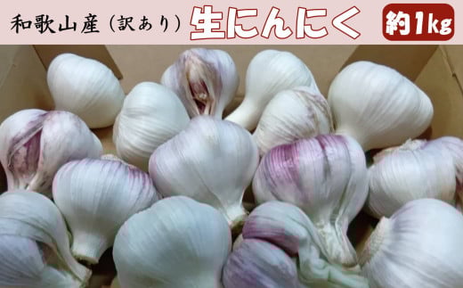和歌山県産生にんにく約1kg ご家庭用 / 和歌山 ニンニク 【tec986】和歌山県串本町9000野菜・きのこその他 野菜