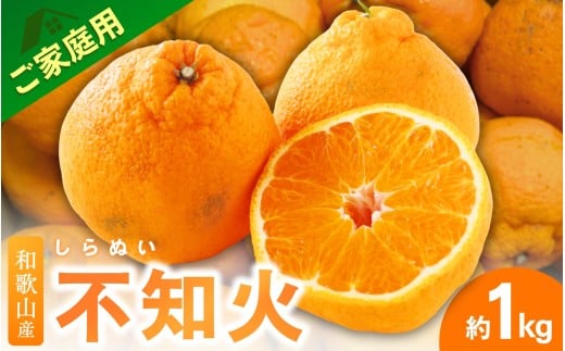 <3月下旬より発送>【先行予約】家庭用不知火1kg+250g(傷み補償分)【デコポンと同品種・人気の春みかん】【わけあり・訳あり】/ フルーツ 果物 くだもの 柑橘 和歌山【ikd161C】和歌山県