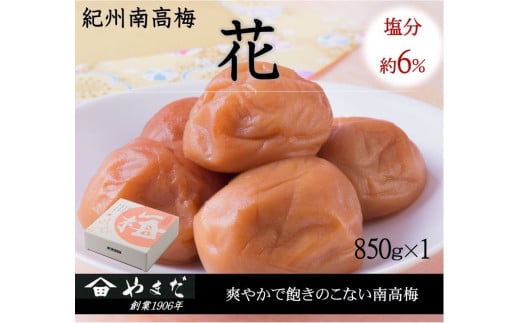 紀州南高梅「花」塩分約6%(850g)/南高梅 紀州南高梅 梅 梅干し うめ 紀州 おかず【ymdm011】和歌山県串本町13000鍋セット・総菜・加工食品漬物・梅干・キムチ