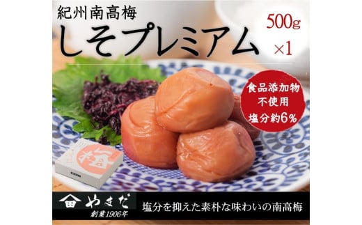 IB썂~v~AUi500j / 썂~  ~ IB썂~ IB ~  h ~  т̂ yymdm016za̎R{10000ZbgE؁EHHiЕE