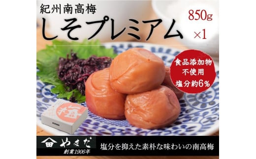 IB썂~v~AUi850j / 썂~  ~ IB썂~ IB ~  h ~  т̂ yymdm017za̎R{13000ZbgE؁EHHiЕE