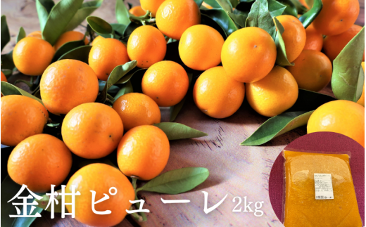 串本町 特産の金柑を使った きんかんピューレ 2kg【bhrp002】和歌山県串本町20000鍋セット・総菜・加工食品ジャム・はちみつ