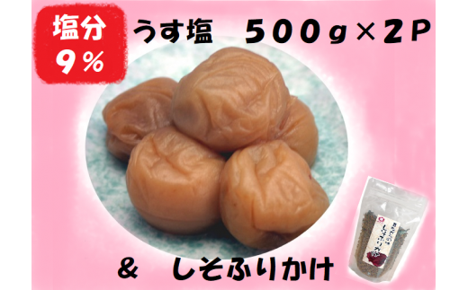 ~ FT~  i9j500×2P ӂ肩ysnby0004zOdFs18000ZbgE؁EHHiЕE~EL`
