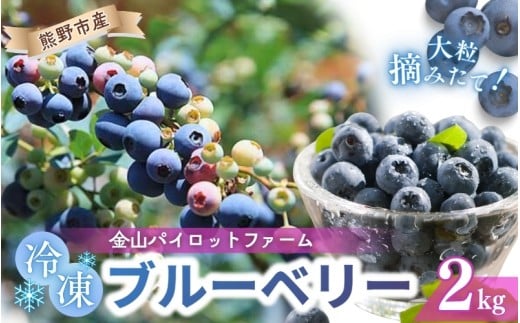 冷凍 ブルーベリー 2kg 急速冷凍 フルーツ 果物 くだもの スムージー ジャム 朝食 デザート 特産品 人気 国産 旬 金山パイロットファーム 三重県 熊野市【knpr0010】三重県熊野市26000果物・フル