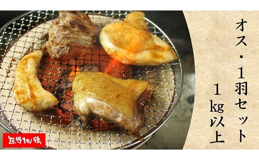 地鶏 鶏肉 とっておき地鶏 1羽セット オス 1s以上 モモ肉 むね肉 ササミ肉 各2枚 肉 鶏肉 鳥肉 とり肉 地鶏 焼き鳥 焼鳥 炭火焼鳥 炭火焼き もも肉 むね肉 ささみ 惣菜 おかず 小分けパック