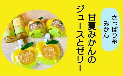 さっぱり系みかん!甘いのが苦手な方にオススメ☆甘夏みかんのジュースとゼリー オレンジジュース みかんゼリー 【kmkn0201】三重県熊野市13000お茶・飲料果汁・野菜飲料