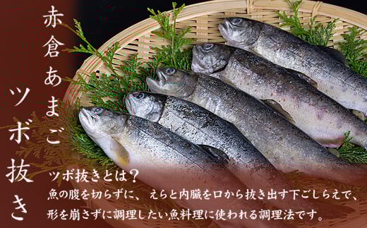 あまごツボ抜き 2本入り 下処理済み 塩焼きや色々なお料理に【akkr0002】三重県熊野市8000魚介・海産物鮮魚