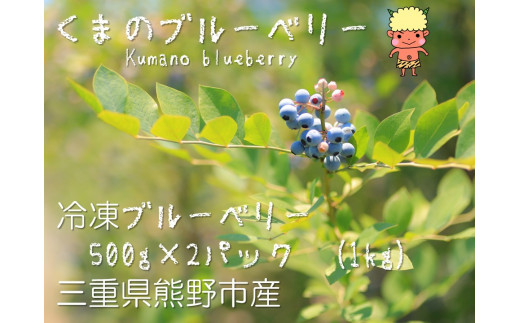 【先行受付】くまのブルーベリー 冷凍  1s(500g×2) フルーツ 果物 くだもの スムージー ジャム 朝食 デザート 特産品 人気 国産 旬 熊野精工 三重県 熊野市 【kmsi0006】三重県熊野市19000果物・