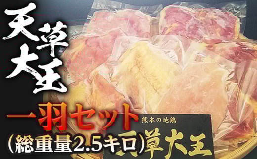 FKP9-343 天草大王 一羽セット(総重量2.5キロ)熊本県球磨村27000肉鶏肉