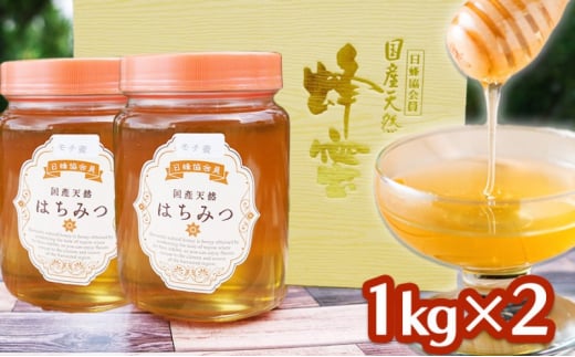 はちみつ 2kg (1kg×2) 非加熱 国産 天然 純はちみつ もちの木 蜂蜜 ハチミツ 天然蜂蜜 天然はちみつ 国産はちみつ 国産蜂蜜 無添加 無加工 非加熱はちみつ 非加熱蜂蜜 瓶詰め 福岡 福岡県 小郡