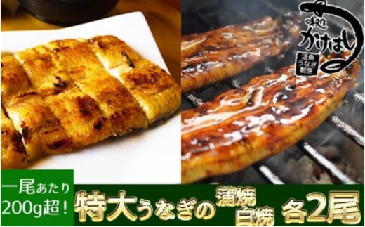 心に染みる「かけはし」の味 特大 うなぎの蒲焼き 白焼き(各2尾) 秘伝のタレ付福岡県小郡市82000魚介・海産物うなぎ