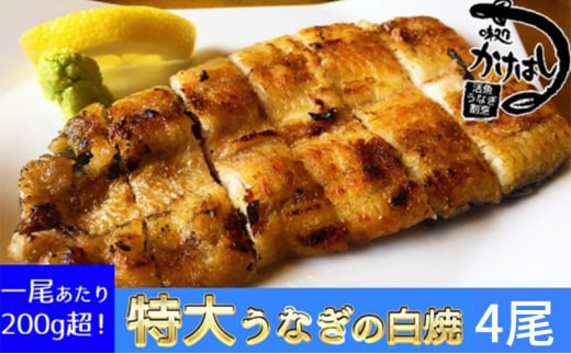 心に染みる「かけはし」の味 特大 うなぎの白焼き 4尾福岡県小郡市82000魚介・海産物うなぎ