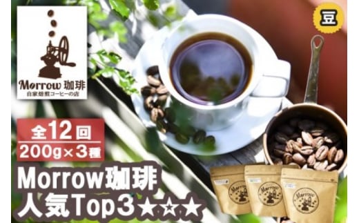 コーヒー 定期便 12ヶ月 「元珈琲嫌い」の店長が送る 自家焙煎 Morrow珈琲 人気TOP3 セット 豆 12回 お楽しみ福岡県小郡市160000お茶・飲料コーヒー・紅茶