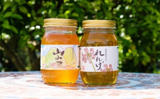 はちみつ 国産 天然 純はちみつ 600g×2本セット やまみつ&れんげ ハチミツ 蜂蜜福岡県小郡市22000鍋セット・総菜・加工食品ジャム・はちみつ