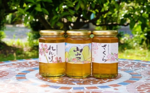 ݂͂ Y VR ݂͂ 370g×3{Zbg ܂݂灕 n`~c ISs24000ZbgE؁EHHiWE݂͂