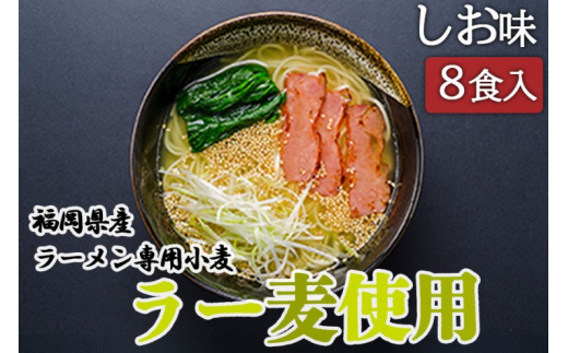 しお ラーメン 福岡県産 ラー麦使用 しおラーメン 8食入 塩 たなばたの里福岡県小郡市8000麺ラーメン