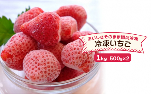 いちご 冷凍いちご 500g×2 イチゴ 苺 果物 デザート ベリー畑 福田ファーム ※配送不可:沖縄、離島福岡県小郡市10000果物・フルーツいちご