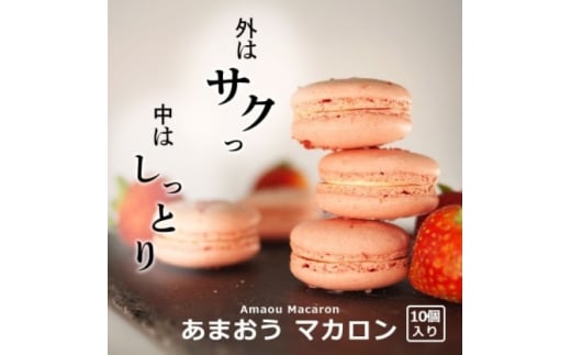 焼き菓子 外はさっくり中はしっとり あまおう マカロン 10個入り 菓子 焼菓子 おやつ 平岡学園福岡県小郡市13000菓子・スイーツ焼き菓子