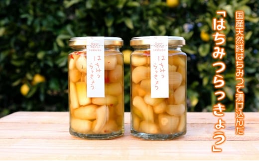 はちみつらっきょう 300g×2本 国産天然はちみつ漬け らっきょう ハニーベル福岡県小郡市11000鍋セット・総菜・加工食品漬物・梅干・キムチ