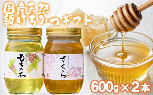 はちみつ 化粧箱入り 国産 天然 純はちみつ 600g×2本セット さくら&もちのき ギフト 《包装対応、手提げ袋付》福岡県小郡市22000鍋セット・総菜・加工食品ジャム・はちみつ