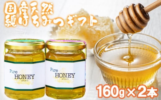 はちみつ 化粧箱入り 国産 天然 純はちみつ 160g×2本セット さくら&もちのき ギフト 《包装対応、手提げ袋付》福岡県小郡市10000鍋セット・総菜・加工食品ジャム・はちみつ