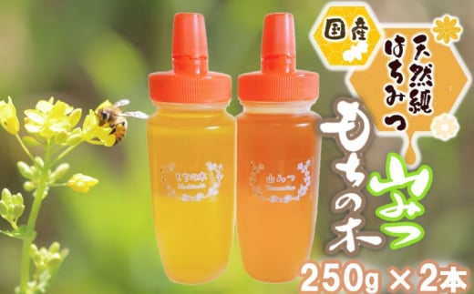はちみつ 国産 天然 純はちみつ 250g×2本 もちのき&やまみつ ハチミツ 蜂蜜福岡県小郡市12000鍋セット・総菜・加工食品ジャム・はちみつ