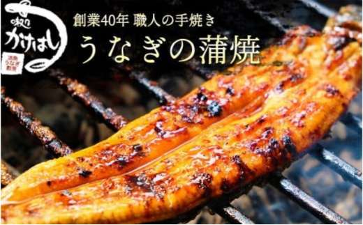 創業40年 全てが職人による手焼き うなぎの蒲焼き 3尾福岡県小郡市50000魚介・海産物うなぎ