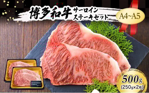 A4〜A5 博多和牛 サーロイン ステーキ セット 500g (250g×2枚) 肉 牛肉 ※配送不可:離島福岡県小郡市18000肉牛肉