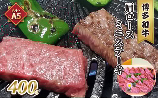  [X ~jXe[L A5`A4 a 400g \[X Ӟt ϔ zs:Ss28000