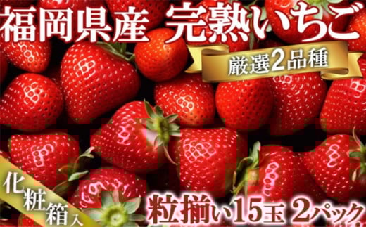 いちご いただきいちご園 食べ比べ 厳選 2品種 粒ぞろい (15玉入り×2パック) 化粧箱入 ギフト 贈り物 贈答用 果物 デザート福岡県小郡市9000果物・フルーツいちご