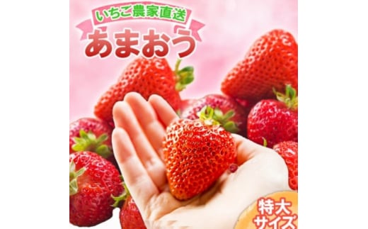 いちご いちご職人直送 白木のいちご 特選 あまおう (特大サイズ) 8粒 イチゴ 苺 果物 デザート ※配送不可:沖縄・離島福岡県小郡市43000果物・フルーツいちご