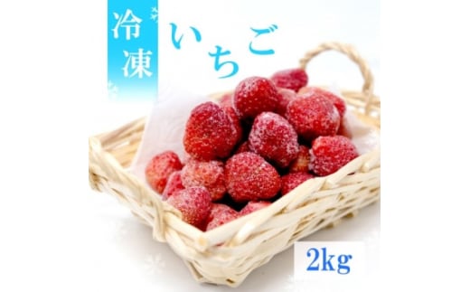 いちご 白木のいちご 旬のおいしさそのまま 冷凍いちご (品種混合) 2kg イチゴ 苺 果物 デザート ※配送不可:沖縄・離島福岡県小郡市17000果物・フルーツいちご