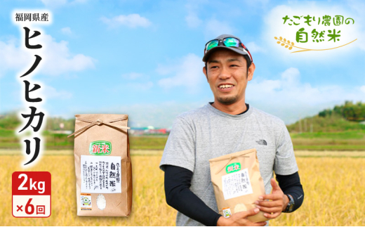 定期便 6ヶ月 米 たごもり農園の自然米 ヒノヒカリ 2kg 小郡産 栽培期間中 農薬不使用 お米 コメ 精米 6回 お楽しみ福岡県小郡市52000米・パン白米