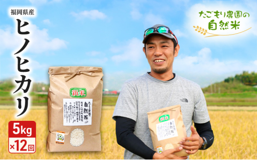 定期便 12ヶ月 たごもり農園の自然米 ヒノヒカリ 5kg 小郡産 栽培期間中 農薬不使用 お米 コメ 精米 12回 お楽しみ福岡県小郡市196000米・パン白米