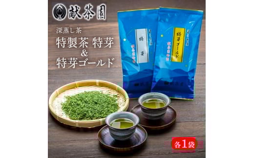 お茶 深蒸し茶 献茶園 特製茶 特芽 & 特芽ゴールド 八女茶 茶 緑茶福岡県小郡市9000お茶・飲料お茶
