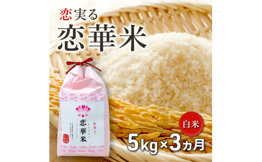 定期便 3回 ハニーベル 昔ながらの有機れんげ栽培 「恋華米」 5kg×3カ月福岡県小郡市44000米・パン白米