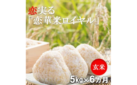 定期便 6回 ハニーベル 昔ながらの有機れんげ栽培 「恋華米ロイヤル」 玄米 5kg×6カ月福岡県小郡市93000米・パン玄米・雑穀米・もち米・餅