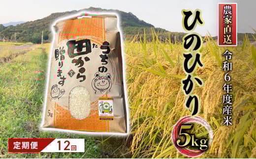 定期便12ヶ月 米 5kg 令和6年度産米 ひのひかり 筑後小郡産 農家直送 12回 お米 コメ お楽しみ福岡県小郡市182000米・パン白米