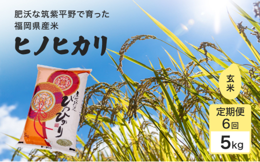  6  1炱 1 qmqJ 5kg  R y 6Ss82000āEpāEGāEāE