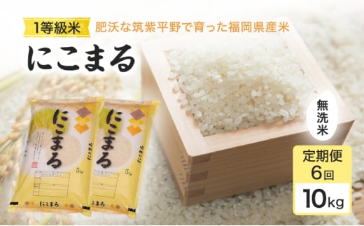 定期便 6回 米 1粒からこだわる 1等級米 にこまる 無洗米10kg お米 コメ お楽しみ 6ヶ月福岡県小郡市169000米・パン無洗米