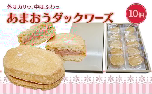 洋菓子 あまおう ダックワーズ 10個入り いちご スイーツ 菓子 お菓子福岡県小郡市11000菓子・スイーツその他 洋菓子