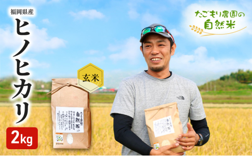 米 令和6年産 たごもり農園の自然米 ヒノヒカリ 玄米 2kg お米福岡県小郡市8000米・パン玄米・雑穀米・もち米・餅