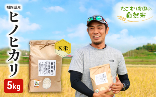 米 令和6年産 たごもり農園の自然米 ヒノヒカリ 玄米 5kg お米福岡県小郡市16000米・パン玄米・雑穀米・もち米・餅