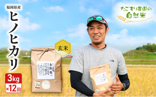 定期便 12ヶ月 米 たごもり農園の自然米 ヒノヒカリ 玄米 3kg お米 12回福岡県小郡市134000米・パン玄米・雑穀米・もち米・餅