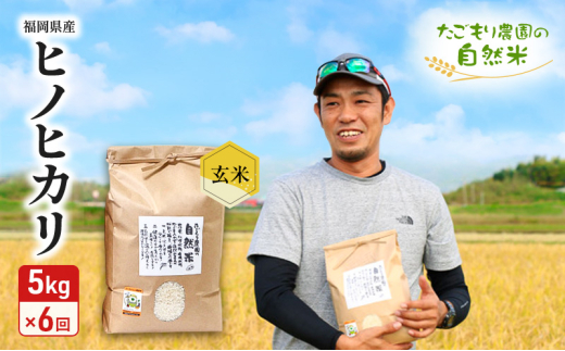 定期便 6ヶ月 米 たごもり農園の自然米 ヒノヒカリ 玄米 5kg お米 6回福岡県小郡市98000米・パン玄米・雑穀米・もち米・餅
