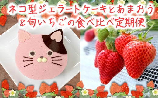 2回お届け いちご ジェラートケーキ あまおうと旬のいちご 各2パック いちご職人 白木のいちご あまおうづくし 2回 コース イチゴ 苺 果物 デザート お楽しみ ※配送不可:沖縄・離島福岡県