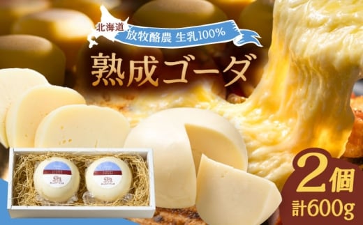 北海道 ゴーダチーズ 300g×2個《足寄町》【合同会社あしょろチーズ工房】 北海道産 十勝チーズ セミハードチーズ ゴーダ 乳製品 生乳 加工品 おつまみ もちもち 冷蔵 十勝 あしょろ 13000 13000