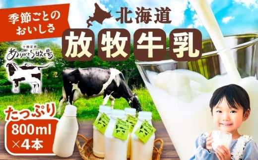 _TVŘb^kC q 800ml×4{s񒬁ty肪Ƃqz  ~N Z ܂₩ _sgp kCY 13000 13000~ [BEAH003]kC13600EiE