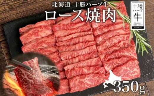 kC \n[u [X350g ēp [X n[u a  ē ēp Ԑg  TV r[t 350g \ kCY Y  N Nz 18000 18000~s񒬁t y{ӂ邳